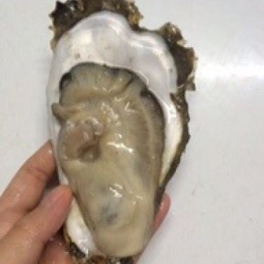 Món ăn- Quán Ăn Hải Sản Hòa Thuận