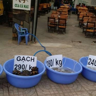 Tổng hợp- Quán Ăn Hải Sản Phơi Sương