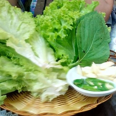 Tổng hợp- Cây Vàng - Quán Ăn Hàn Quốc