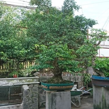 Tổng hợp- Quán Ăn Hữu Nghị