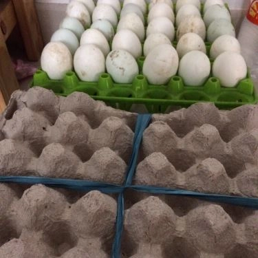 Món ăn- Quán Ăn Ngọc Trân - Hủ Tiếu & Cháo Lòng