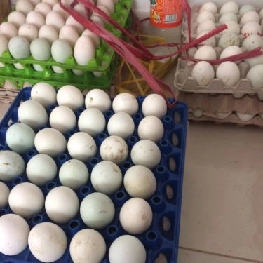 Món ăn- Quán Ăn Ngọc Trân - Hủ Tiếu & Cháo Lòng