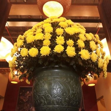 Tổng hợp- Quán Ăn Ngon - Hoàng Đạo Thuý