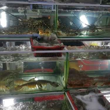 Tổng hợp- Quán Ăn Quốc Anh - Đặc Sản Biển Phú Quốc