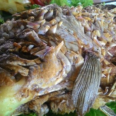 Món ăn- Quán Ăn Chày Cối - Cá & Các Món Ăn Bình Dân