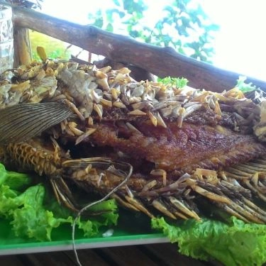 Món ăn- Quán Ăn Chày Cối - Cá & Các Món Ăn Bình Dân