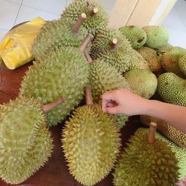 Tổng hợp- Quán Ăn Vườn Măng - Đặc Sản Đồng Quê