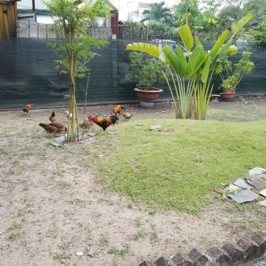 Tổng hợp- Quán Ăn Xứ Quảng