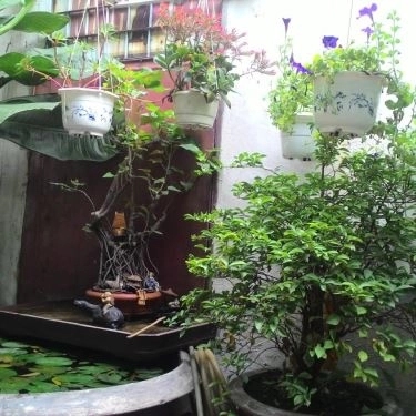 Tổng hợp- Quán Ăn Bà Hai - Bún Riêu Cua