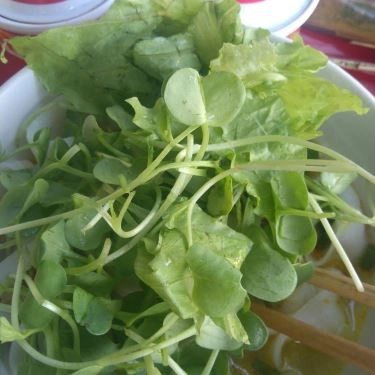 Món ăn- Quán Ăn Quán Ba Kim - Bún, Mì Quảng