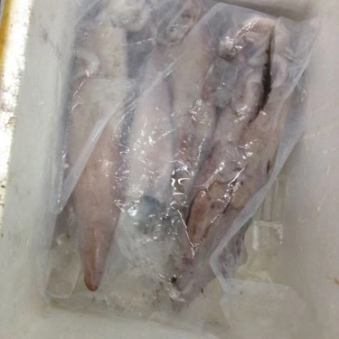 Tổng hợp- Quán Ăn Bà Tám - Hải Sản Tươi Sống