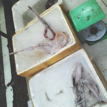 Tổng hợp- Quán Ăn Bà Tám - Hải Sản Tươi Sống