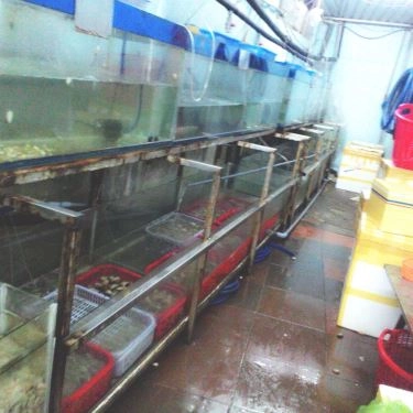 Tổng hợp- Quán Ăn Bà Tám - Hải Sản Tươi Sống
