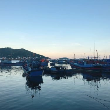 Tổng hợp- Quán Ăn Quán Bảo Quốc - Hải Sản
