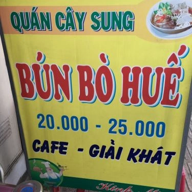 Tổng hợp- Quán Ăn Quán Cây Sung - Bún Bò Huế