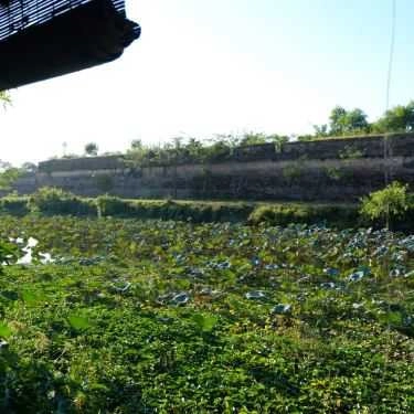 Tổng hợp- Quán Ăn Bún Na - Tăng Bạt Hổ