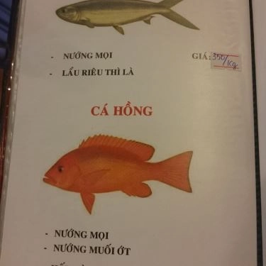 Thực đơn- Quán Ăn Quán Cá Biển Nướng - Hải Sản Dốc Lết