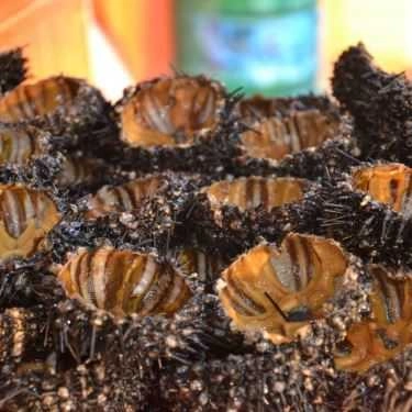 Tổng hợp- Quán Ăn Quán Cát Biển - Hải Sản & Đồ Nướng