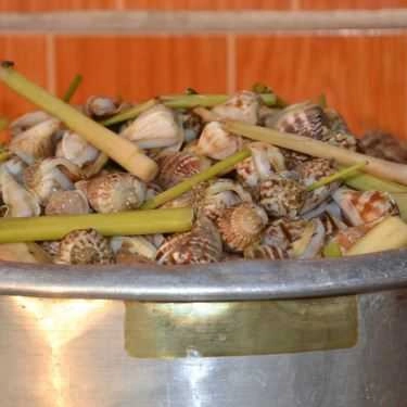 Tổng hợp- Quán Ăn Quán Cát Biển - Hải Sản & Đồ Nướng