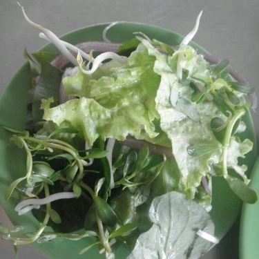 Tổng hợp- Quán Ăn Quán Cây Bàng - Cơm Bình Dân