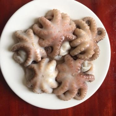 Tổng hợp- Quán Ăn Cây Thông - Buffet Lẩu