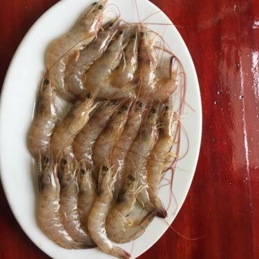 Tổng hợp- Quán Ăn Cây Thông - Buffet Lẩu