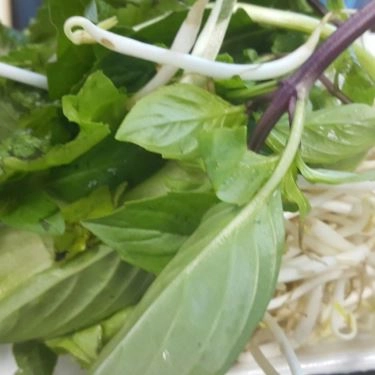 Tổng hợp- Quán Ăn Cháo Lòng 170B Võ Thị Sáu
