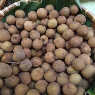 Tổng hợp- Quán Ăn Quán Chay An Lạc Tâm
