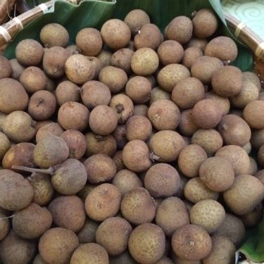 Tổng hợp- Quán Ăn Quán Chay An Lạc Tâm