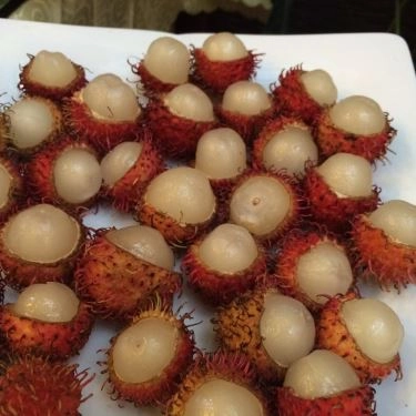 Tổng hợp- Quán Ăn Quán Chay An Lạc Tâm