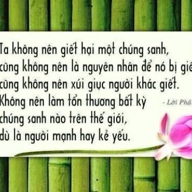 Tổng hợp- Quán Ăn Quán Chay Hiếu Hiền - Lê Đình Cẩn