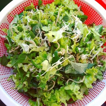 Tổng hợp- Quán Ăn Quán Chị Hiền - Mì Xứ Quảng