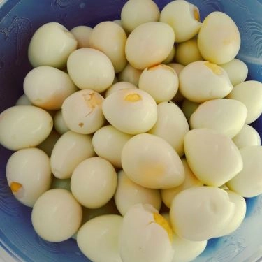 Tổng hợp- Quán Ăn Quán Chị Hiền - Mì Xứ Quảng