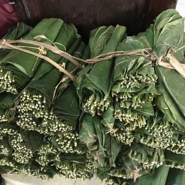 Tổng hợp- Quán Ăn Bèo - Nậm - Lọc Chi