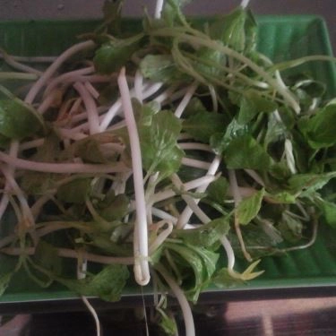 Tổng hợp- Quán Ăn Quán Cô Hà - Bánh Mì Ốp La