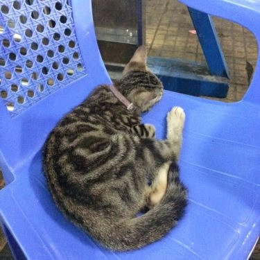 Tổng hợp- Quán Ăn Quán Cô Út - Bò Né - Lê Hồng Phong