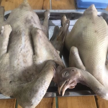 Tổng hợp- Quán Ăn Quân - Cơm Gà Xối Mỡ, Lẩu Gà Mái Dầu & Lẩu Vịt Xiêm