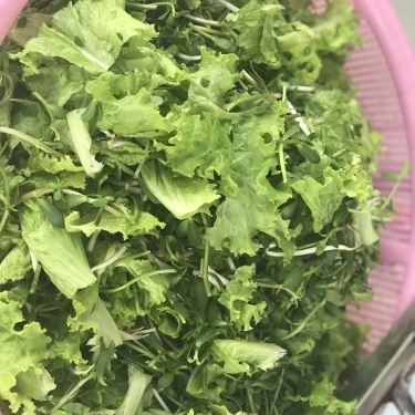 Tổng hợp- Quán Ăn Quán Cơm Susi