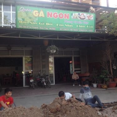 Tổng hợp- Quán Ăn Đặc Sản Gà Đồi, Lợn Mán & Chim Trời