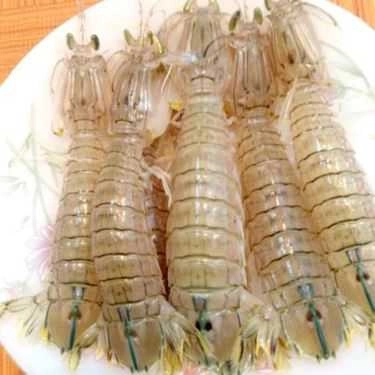 Tổng hợp- Quán Ăn Quán Gốc Gạo - Hải Sản & Đồ Nướng