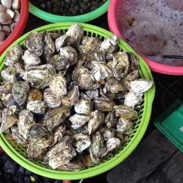 Tổng hợp- Quán Ăn Quán Gốc Gạo - Hải Sản & Đồ Nướng