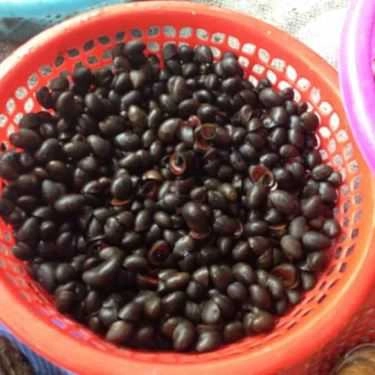 Tổng hợp- Quán Ăn Quán Gốc Gạo - Hải Sản & Đồ Nướng