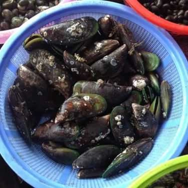 Tổng hợp- Quán Ăn Quán Gốc Gạo - Hải Sản & Đồ Nướng