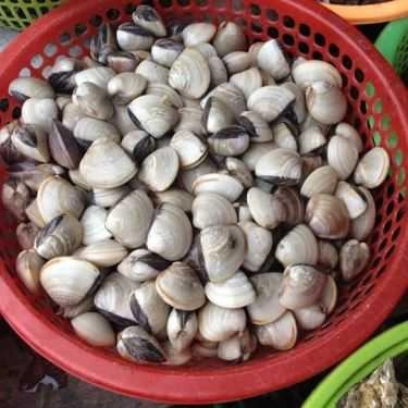 Tổng hợp- Quán Ăn Quán Gốc Gạo - Hải Sản & Đồ Nướng