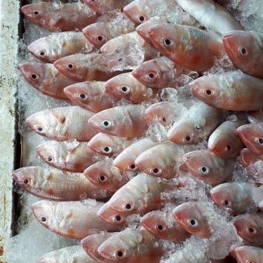 Tổng hợp- Quán Ăn Hải Sản 1239