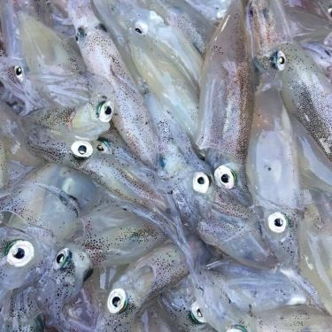 Tổng hợp- Quán Ăn Hải Sản 1239