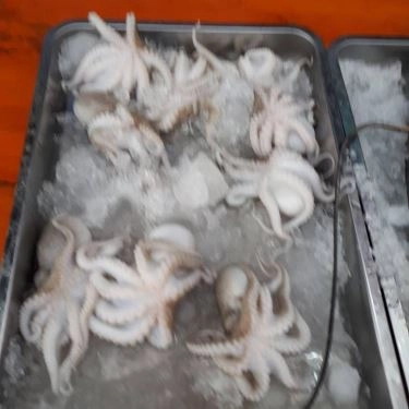 Tổng hợp- Quán Ăn Hải Sản 1239