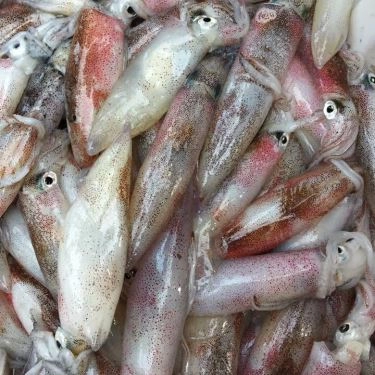 Tổng hợp- Quán Ăn Hải Sản 1239