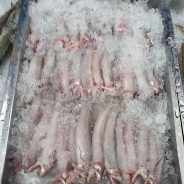 Tổng hợp- Quán Ăn Hải Sản 1239