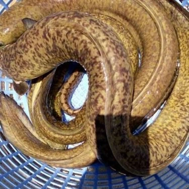 Tổng hợp- Quán Ăn Hải Sản 1239